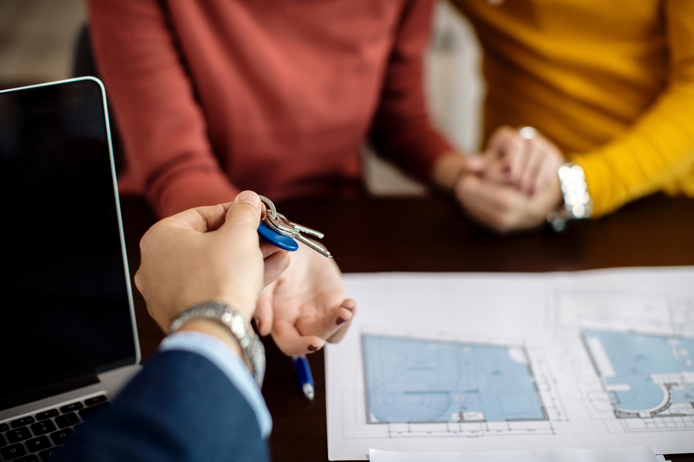 Imagen de un comerciante de quesos de espaldas colocando piezas de queso en estanterías